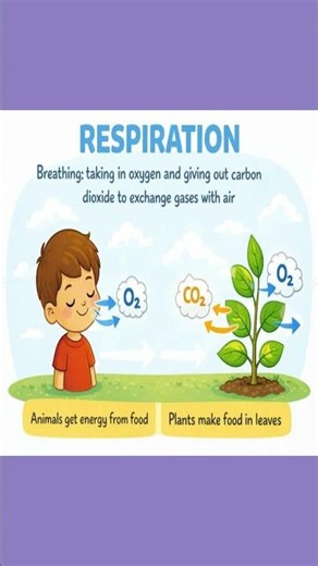 Life Processes Explained for Kids in 40 Seconds | Growth, Energy, Respiration & Excretion | Revision