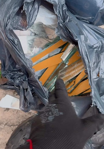 Recolección de Basura: ¿Cómo Trabajamos Con Responsabilidad?