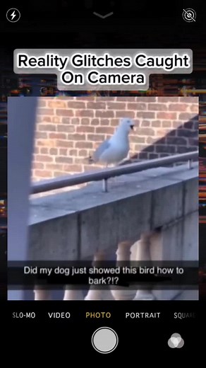 Exploring Reality Glitches Captured on Camera in 2025