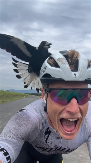 Matthew Hauser | Race Week Session: 5x 🗣️🗣️ | Instagram