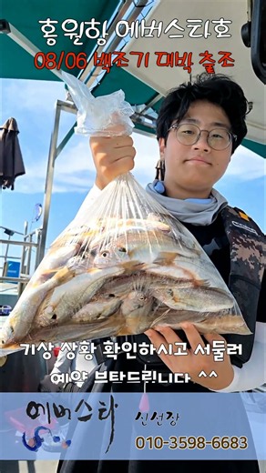2026-08-07 ⭐️에버스타호⭐️ 홍원항 백조기 대박 출조#낚시#홍원항 #바다낚시#선상낚시#백조기#홍원항에버스타호