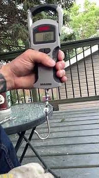 BREAKING Strength! Trilene Fishing Line! 6 LB BERKLEY XL Smooth Casting #Shorts