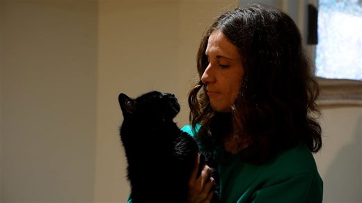 Yes, you can train even the most difficult cat