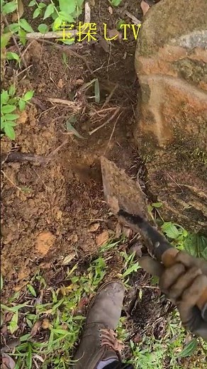 【宝探し】金属探知機で岩の下に純金を発見 #トレジャー #お金 #treasure #探検 #metaldetector #トレジャーハンター#金属探知機 #宝探し #shorts #gold