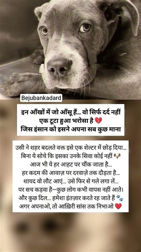 Abandoned Dog Still Waiting for His Owner 😢 Dog_s Painful Story 💔🐾#dog #abandoned #animalrescue #yt