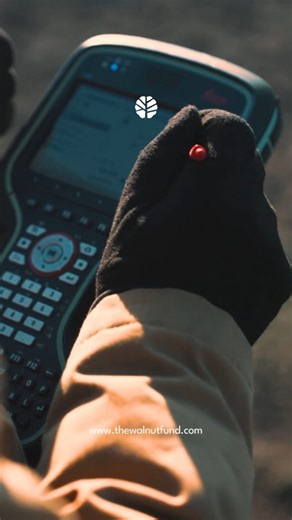 The Walnut Fund on Instagram: "Well, as many of you know, the season of better quality video material has started! 🎥 🤣 Before we introduced GPS-guided navigation for marking walnut sapling rows, a team of surveyors had to come out to the field to mark the initial reference lines. Their task was to precisely set and mark the first 20 rows, which served as fixed guidelines for the entire orchard layout. 🌳 Once those reference rows were established, we used our GPS navigatio