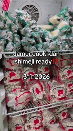 Delicious Enoki and Shimeji Mushroom Recipes