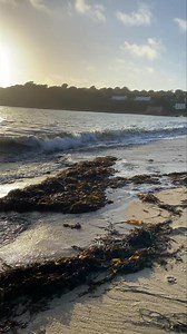 Out of season Scilly beach vibes Stuart | The Isles of Scilly