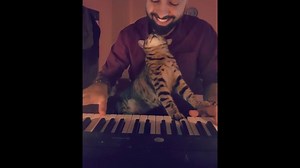 195K views · 8.6K reactions | Se o amor tivesse uma trilha sonora, certamente seria essa. <3 | Melhores Amigos | Facebook