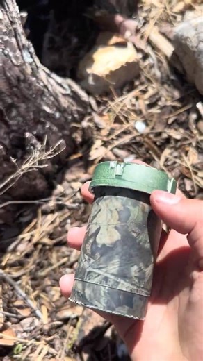 #geocache in a tree