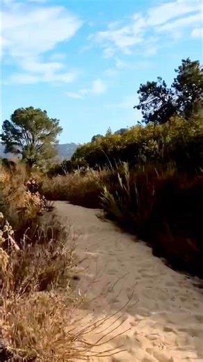 Silent Trail Walk | Serene Hike Surrounded by Nature