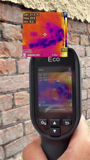 Identifying Damp Issues and Solutions in Homes