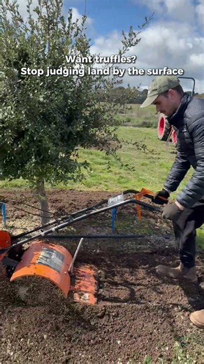 Truffle Land Check: Stop Judging Soil by the Surface