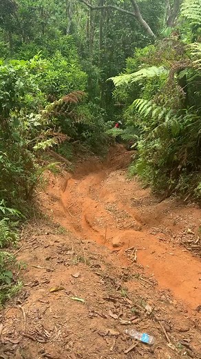 Exploring Puerto Rico's Forest Trails on an ATV