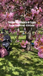 4.5K views · 46 reactions | Spring has sprung and the cherry trees are blossoming!  Check out our top spots to admire them in and around Paris. ️ Let us know your favorite places to admire the cherry blossoms in France!  #explorefrance #springinFrance #spring Paris je t'aime : CD92 | Explore France | Facebook