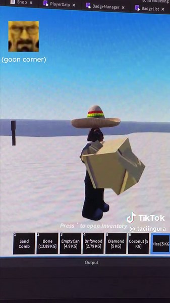 Some new stuff I added to my upcoming Roblox Sand Sifting Game! #Roblox #RobloxDev #RobloxFyp #RobloxStudio #SandSifting #beach