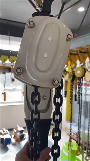 Chain block lever hoist #hoist #hoistfitness