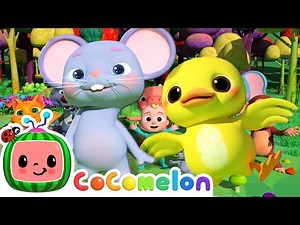 Animal Dance Song | CoComelon Furry Friends | Animals for Kids