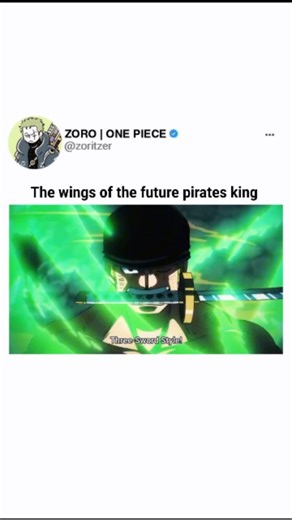Zoritzer on Instagram: "This exhilarating clip highlights the legendary "Wings of the Pirate King," Zoro and Sanji, as they take the stage during the intense battle on Onigashima. The video kicks off with Marco the Phoenix holding back King and Queen, before gracefully stepping aside to let the two Straw Hat powerhouses deliver a coordinated, high-octane assault. With stunning animation, we see Sanji igniting his signature Diable Jambe alongside Zoro’s formidable Three Sword Style: Purgatory Oni