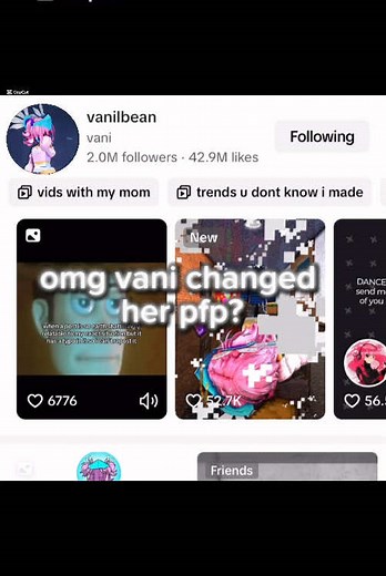 Vanilbean Edit: A Creative Journey