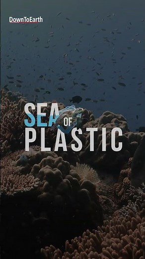 #sea turning #synthetic | Sea of Plastic documentary
