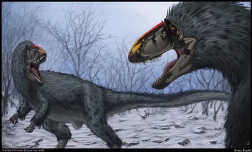 Yutyrannus (“feathered tyrant”) is a large proceratosaurid tyrannosauroid from the Early Cretaceous (~125 Ma) of northeastern China. Known from three well-preserved fossils found in Liaoning, it is the largest dinosaur for which direct evidence of feathers is known. Yutyrannus was a big, powerful bipedal predator. The holotype measured about 9 m (29.5 ft) long and weighed roughly 1.4 tonnes, with later estimates suggesting around 7.5 m and 1.1 tonnes. Its skull reached 90.5 cm in length, while t
