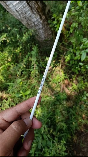 Cheap and cheerful wader fishing rod set