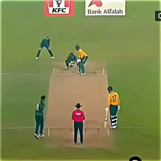 Hilarious Cricket Moments that Will Make You Laugh