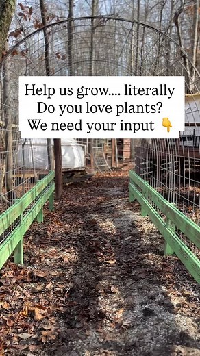 Today’s project at The Hive: building the new pathway from our...