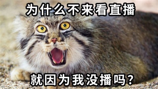 【直播回放】我只不过是生活在101狙击没用的时代罢了 2024年4月27日18点场