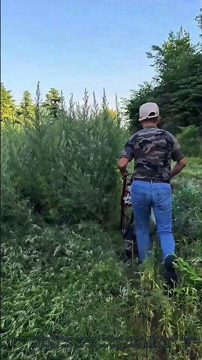 Hand Push Wheeled Brush Cutter Clears Tall Overgrown Grass Effortlessly