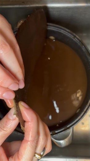 Home Tanning Beaver Tails - Day 25 Third day in the larger tea bath (I was miscounting in the previous days, this is the end of the third 24 hours in this tea bath). To check tanning progress, snip off a small piece near the edge. It should be a solid brown color all the way through the cross section. The thick side of the tails still has a ways to go! Once this series is finished, I'll compile the videos into one and post it on my YouTube channel youtube.com/@darlingleatherandfur - subscribe so