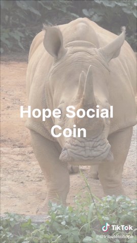 At Padel For Hope, every cent raised goes where it’s meant to go no questions, no uncertainty. Thanks to Hope Social Coin, all donations are visible, trackable, and permanently recorded on the blockchain. This isn’t just fundraising. It’s transparent conservation. #PadelForHope #HopeSocialCoin #PlayForWildlife #TributeToHope