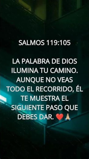 lee salmos 119 #frases #palabradios #reflexionesdeldia #reflexion #cristianoshispanos #amor #fe