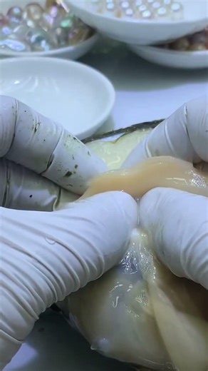 Demonstration of extracting a pearl from an oyster: A beautiful pearl #jewelrymaking #satisfying