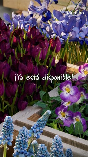 Nuevos objetos en la biblioteca de Lumion – Primavera 🌷