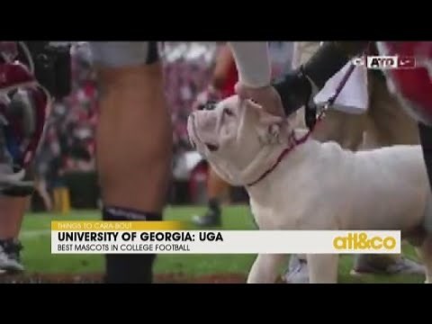 Best Mascots in College Football