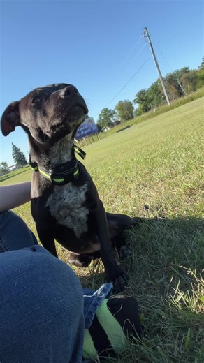 rachel hill on TikTok