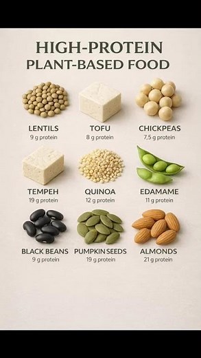 High-Protein Plant-Based Foods | Best Vegan Protein Sources for Health & Longevity