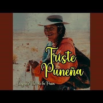 Triste Puneña