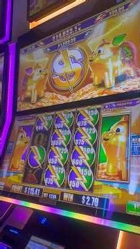 Big Bacon Bucks #luckyeaglecasino #slot #luckyeagletx #kickapoo #casinogames