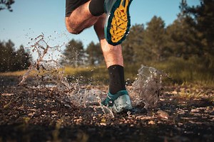 Best Running Socks 2024 - Forbes Vetted