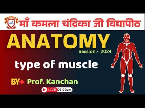 Anatomy Subject {smooth muscle}-2 intro By Prof. Kanchan | BPT Session- 2023 & 24 | 10 Sept 2025 |