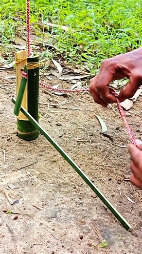 Creative ideas for setting unique bamboo traps #survivaltrap
