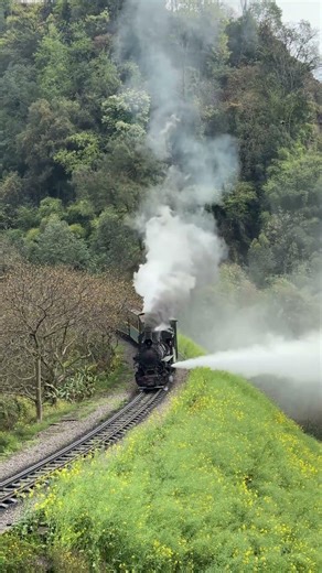 The Jiayang Mini-Train: A Living Fossil of the Steam Locomotive.