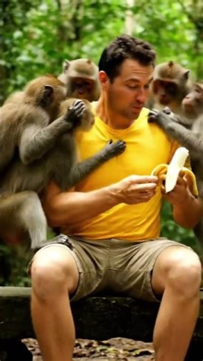 Man vs Monkey 🐒🤣 | Funniest Fight Ever!