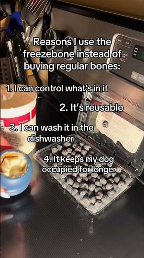 DIY Freeze Bone for Dogs: A Healthier, Reusable Alternative to Store-Bought Bones