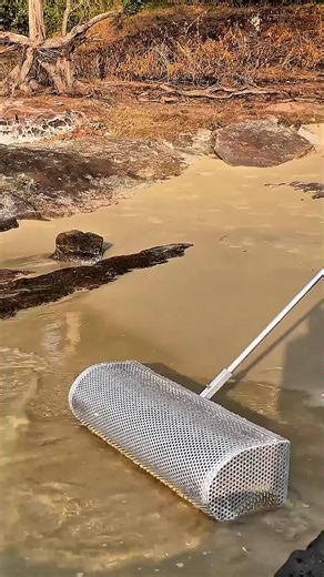 Discover the Most Beautiful Beaches in the USA