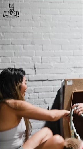 “My Puppy Just Won’t Pee Outside!” Struggling with potty training?...