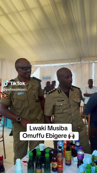 Pallaso's Latest Hits and Launch Events